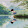 Jujugame 2005
