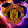 andrew manutdfan