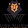 Lion bilişim