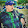 Pop Runing