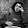 Edul Khalapyan