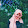 ฟารีซา กาซา