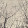 twelve _