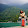 Nunchanok Choochit