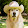 Dog Hat