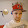 Geekill K!kus