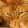 кошка нявка