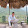 Đỗ Chí Dũng