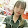 Kyo Trang