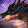 dragonnoir