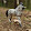 Schleich kokoska cz