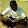 Cheikh A. K. Dieylani CAMARA
