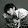 EXO _KAİ