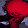Neon Mapper
