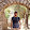 Alper Murat KİRPİK