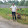 Văn Nam Bùi