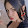 Anna Friso