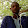 BA MANSOUR