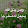 محمد الزين