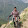 Advait Naik