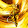 Gold Ninja