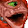 User RED