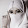 farashet alqouds