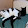 Spicy Ramen Cats