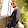 Mohammad basheer
