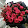 slyna .67