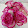 Mado Q8