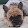 Mortal Wombat