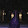 The Purple Shade