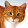 Cat-YouTuber