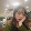 Huynh thi My Tien