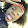 Shariya Shields