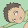 Manuelchibi