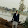 Abdul Muqeet