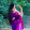 Tasnim Rahman