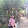 Như Ngọc Nguyễn