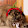 Poppy Hoppy