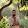 Ajinkya Nagarkar