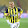 irem burak