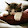 catseye1705