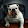 The Bulldog
