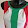 PENSIERISTA ITALICO
