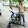 Ashok Kumar