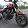 TTN Vlogs