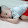 SThinh Ho