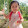 Hương Chia